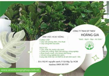 Cây xanh mang lại cho chúng ta nhiều lợi ích thiết thực