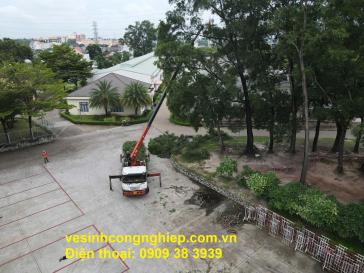 Chặt Cây Xanh, Cưa Cây Xanh, Dọn Cây Xanh gọn gàng tại phường Thạnh Lộc 